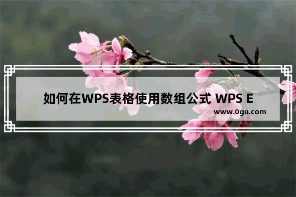 如何在WPS表格使用数组公式 WPS Excel表格中使用数组公式快速求和的方法