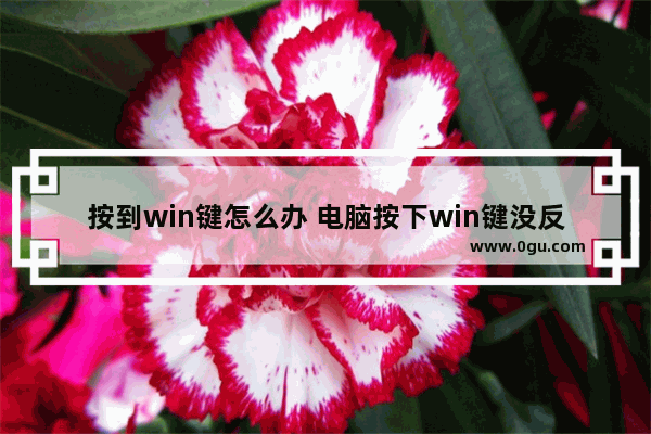 按到win键怎么办 电脑按下win键没反应