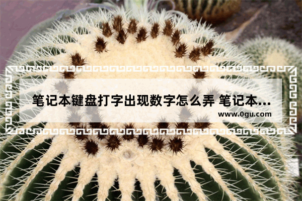 笔记本键盘打字出现数字怎么弄 笔记本键盘打字出现数字怎么弄回来