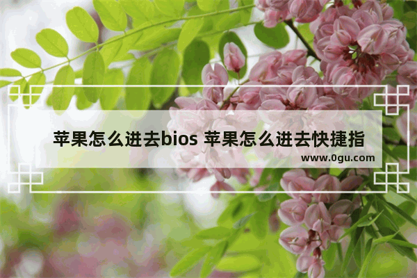 苹果怎么进去bios 苹果怎么进去快捷指令界面