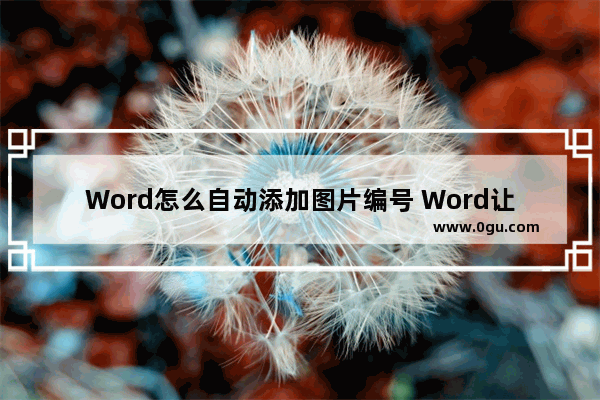 Word怎么自动添加图片编号 Word让所有图片自动生成编号的方法