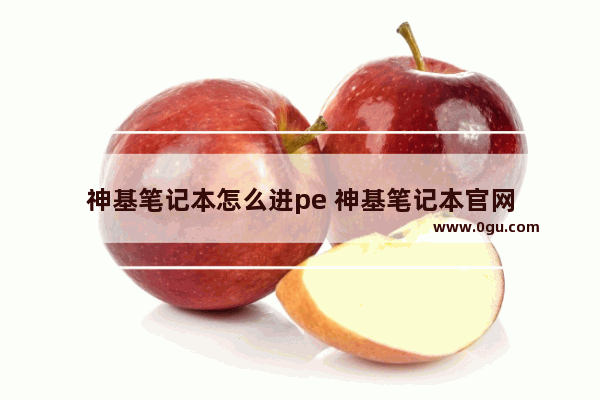 神基笔记本怎么进pe 神基笔记本官网