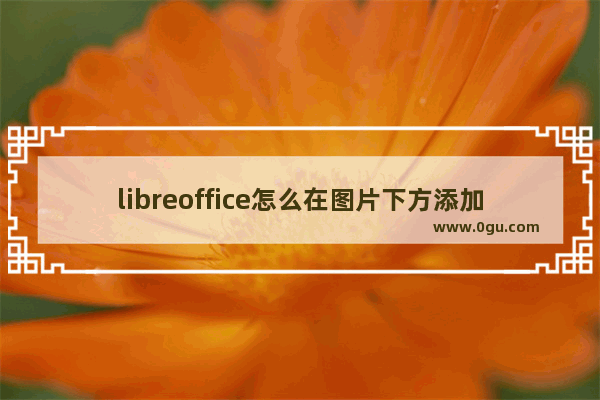 libreoffice怎么在图片下方添加编号 libreoffice在图片下方添加编号的方法