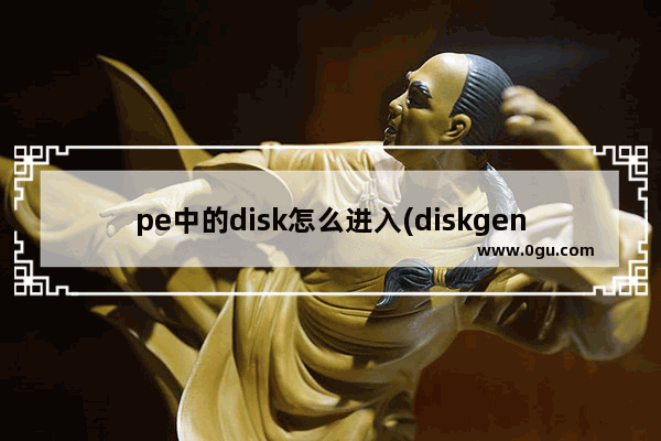 pe中的disk怎么进入(diskgenius进入pe)