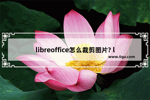 libreoffice怎么裁剪图片? libreoffice裁剪图片的方法