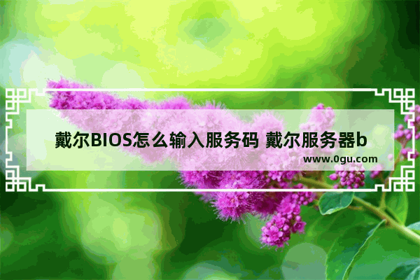 戴尔BIOS怎么输入服务码 戴尔服务器bios设置图解中文