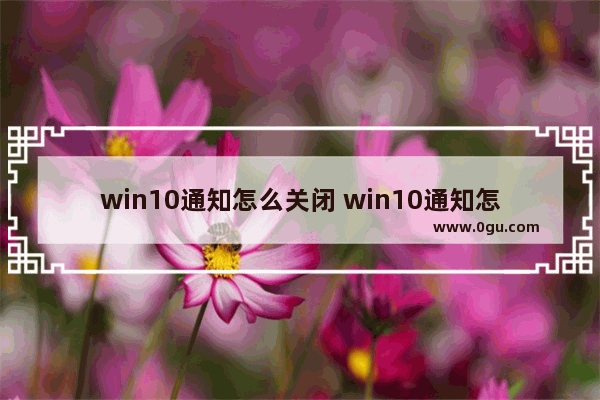 win10通知怎么关闭 win10通知怎么关闭图解