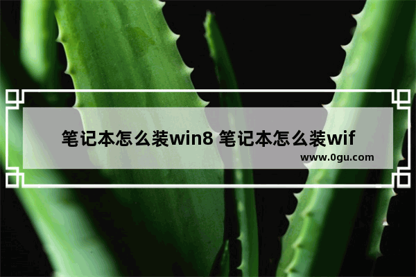 笔记本怎么装win8 笔记本怎么装wifi