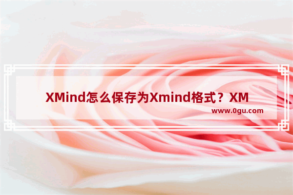 XMind怎么保存为Xmind格式？XMind文件保存Xmind格式方法