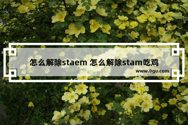 怎么解除staem 怎么解除stam吃鸡邮箱绑定