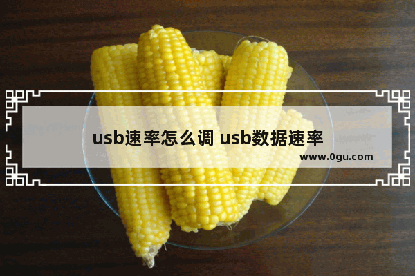 usb速率怎么调 usb数据速率