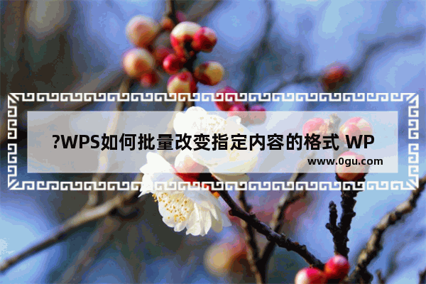 ?WPS如何批量改变指定内容的格式 WPS Word批量修改文本格式的方法教程