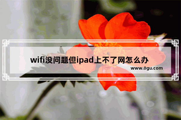 wifi没问题但ipad上不了网怎么办 iPad连不上无线的解决方法