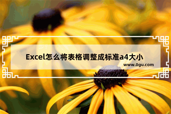 Excel怎么将表格调整成标准a4大小 Excel将表格调整成标准a4大小的方法