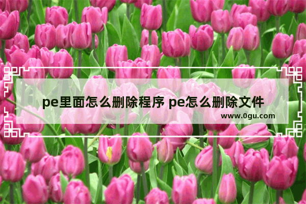 pe里面怎么删除程序 pe怎么删除文件