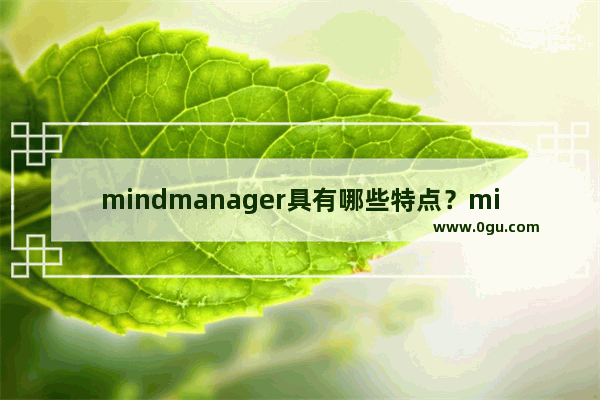 mindmanager具有哪些特点？mindmanager特点详情介绍！