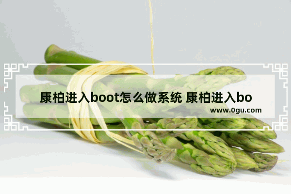 康柏进入boot怎么做系统 康柏进入boot怎么做系统