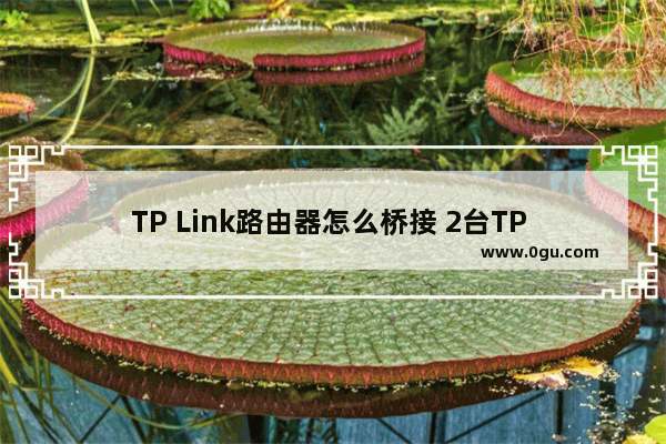 TP Link路由器怎么桥接 2台TP Link无线路由器桥接图文教程(含视频)