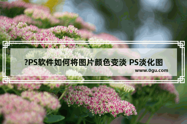 ?PS软件如何将图片颜色变淡 PS淡化图片颜色的方法教程