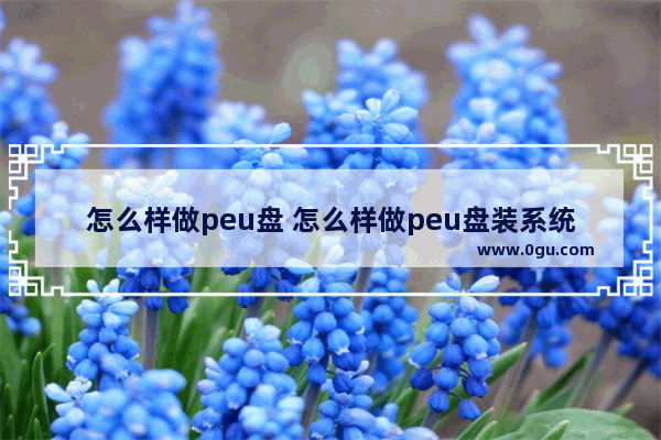 怎么样做peu盘 怎么样做peu盘装系统