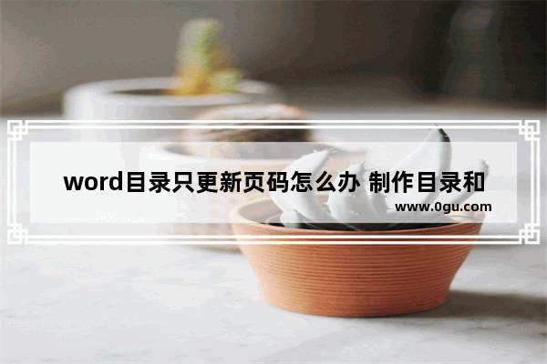 word目录只更新页码怎么办 制作目录和页码的方法