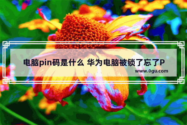 电脑pin码是什么 华为电脑被锁了忘了PIN