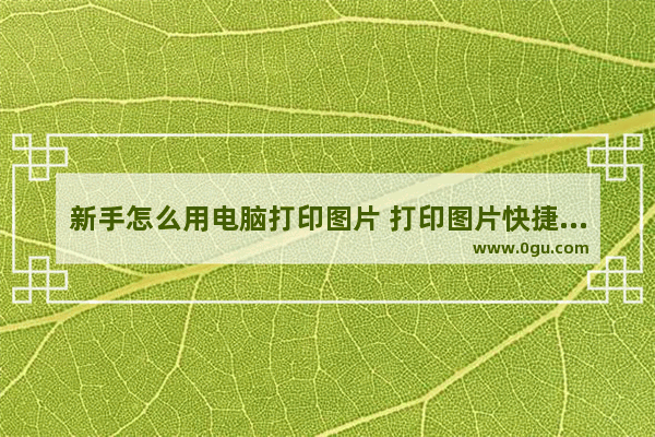 新手怎么用电脑打印图片 打印图片快捷又清晰步骤