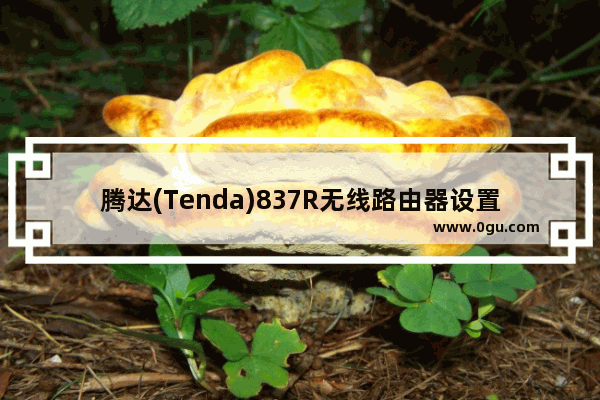 腾达(Tenda)837R无线路由器设置上网