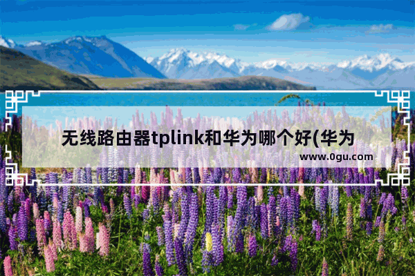 无线路由器tplink和华为哪个好(华为tplink路由器对比)