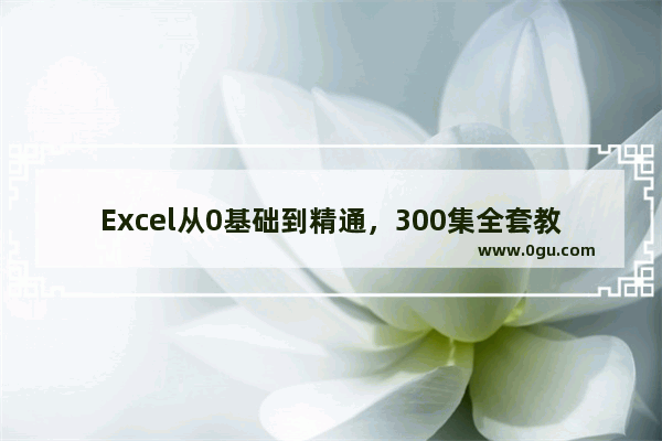 Excel从0基础到精通，300集全套教程，视频+模板+笔记