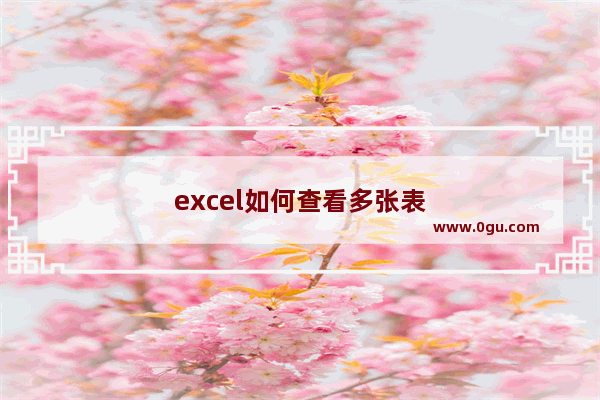 excel如何查看多张表