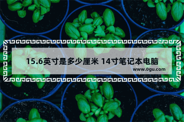 15.6英寸是多少厘米 14寸笔记本电脑是多少厘米长宽