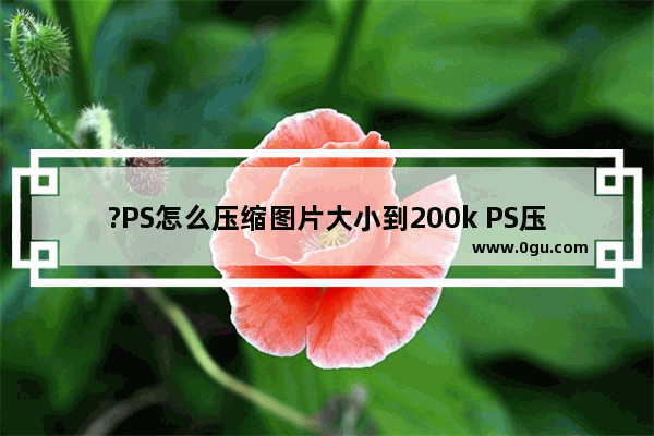 ?PS怎么压缩图片大小到200k PS压缩图片到200k的方法教程