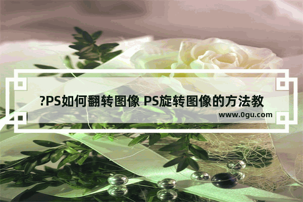 ?PS如何翻转图像 PS旋转图像的方法教程