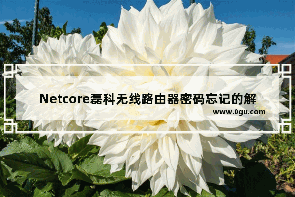 Netcore磊科无线路由器密码忘记的解决方法