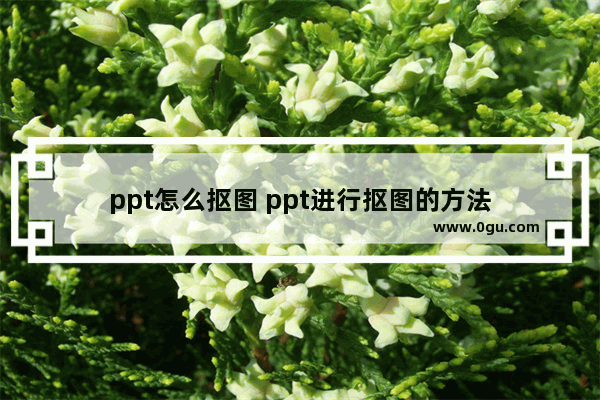 ppt怎么抠图 ppt进行抠图的方法