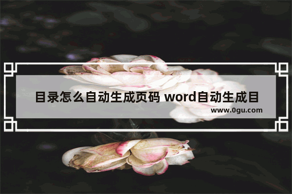 目录怎么自动生成页码 word自动生成目录和页码教程