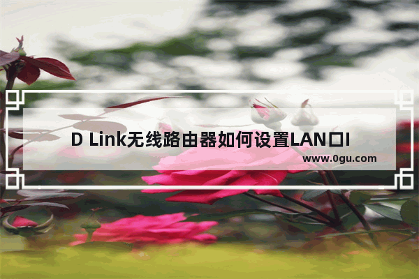 D Link无线路由器如何设置LAN口IP地址？(如何在D Link无线路由器中设置局域网端口的IP地址？)