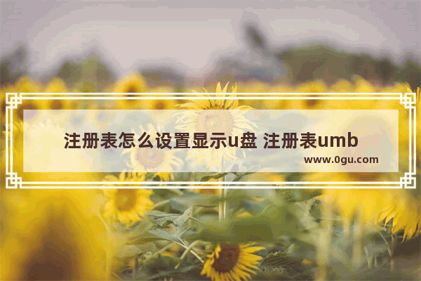 注册表怎么设置显示u盘 注册表umb