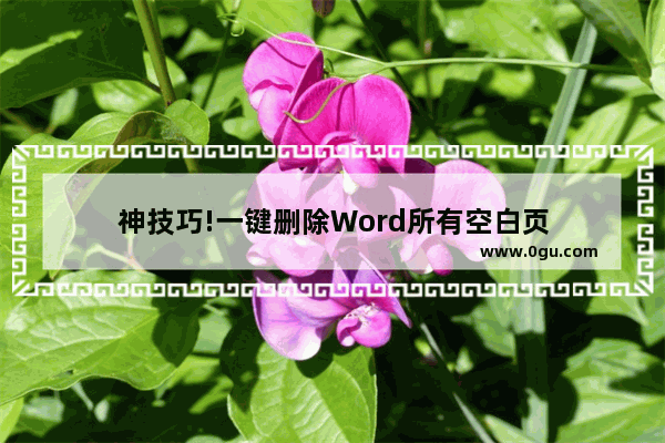 神技巧!一键删除Word所有空白页