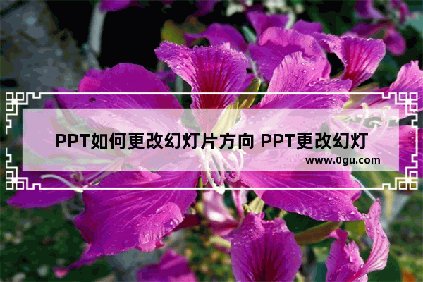 PPT如何更改幻灯片方向 PPT更改幻灯片方向的方法