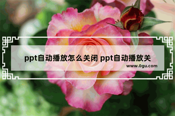 ppt自动播放怎么关闭 ppt自动播放关闭的方法