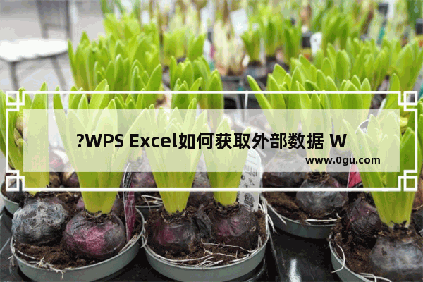 ?WPS Excel如何获取外部数据 WPS表格导入外部数据的方法教程