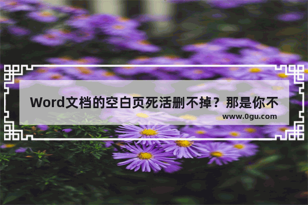 Word文档的空白页死活删不掉？那是你不知道这个方法