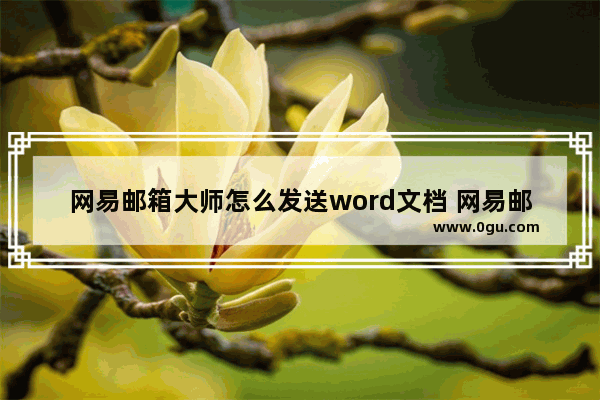 网易邮箱大师怎么发送word文档 网易邮箱大师发送word文档的方法