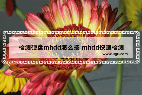 检测硬盘mhdd怎么按 mhdd快速检测硬盘