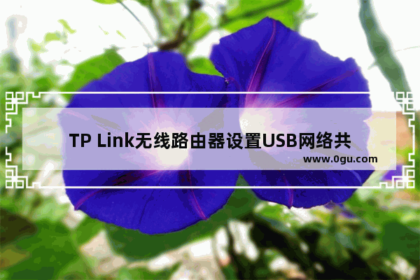 TP Link无线路由器设置USB网络共享的方法