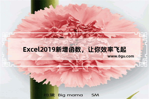 Excel2019新增函数，让你效率飞起来！