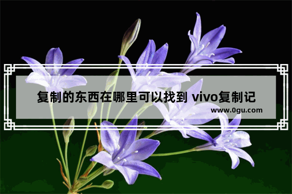 复制的东西在哪里可以找到 vivo复制记录在哪里可以找到