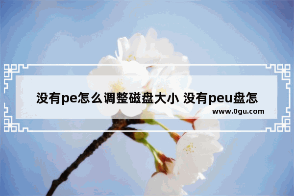 没有pe怎么调整磁盘大小 没有peu盘怎么进入pe系统